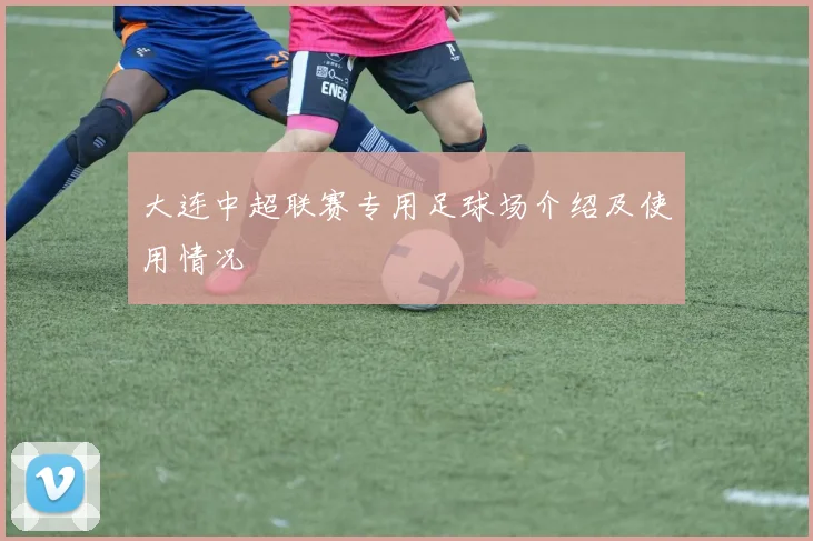 大连中超联赛专用足球场介绍及使用情况