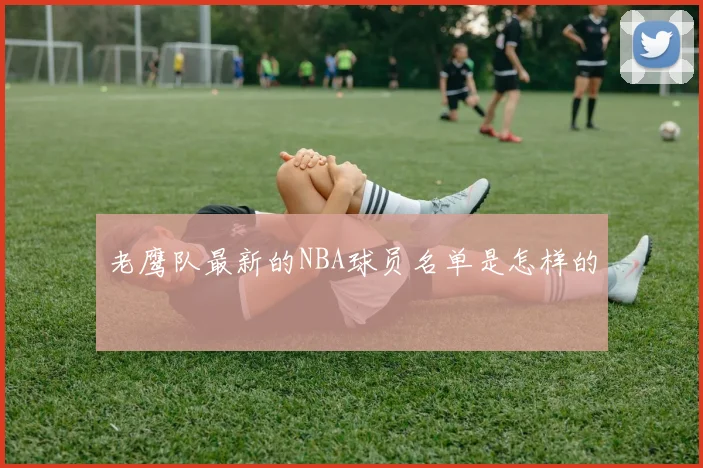 老鹰队最新的NBA球员名单是怎样的