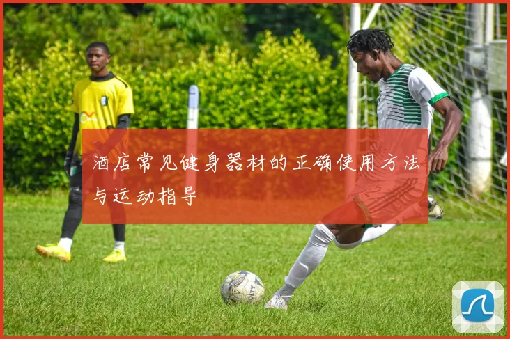 酒店常见健身器材的正确使用方法与运动指导