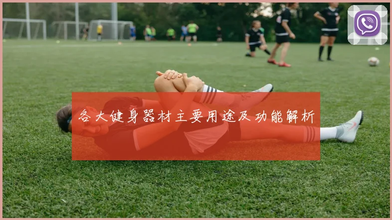 各大健身器材主要用途及功能解析
