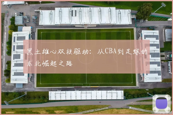 黑土雄心双核驱动：从CBA到足球的东北崛起之路