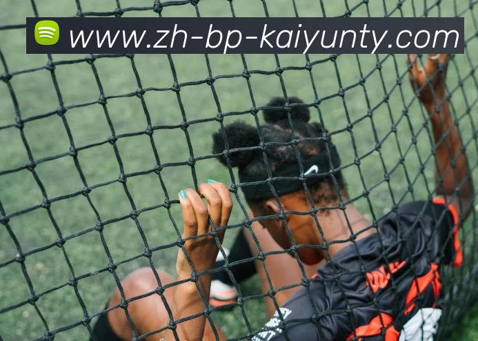 ky开云平台生态图